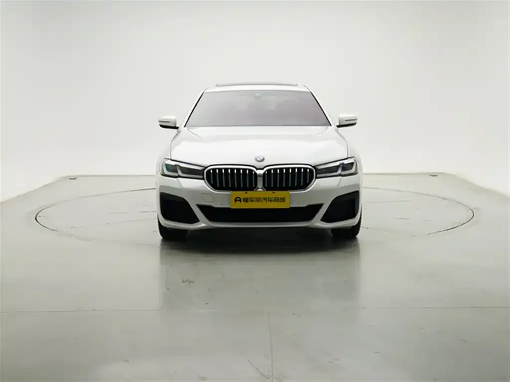 BMW 5 Series 2021 из CN, фото 6