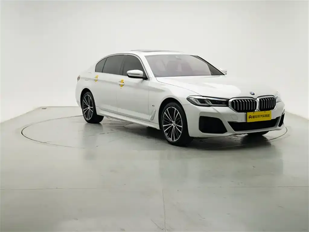 BMW 5 Series 2021 из CN, фото 9