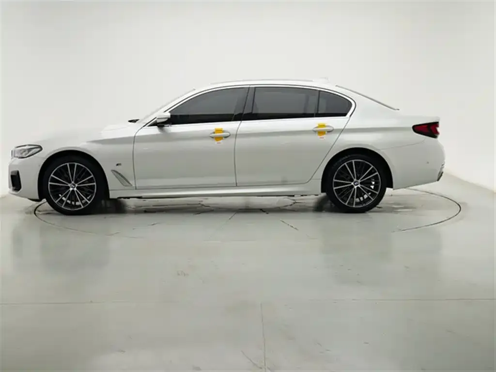 BMW 5 Series 2021 из CN, фото 3