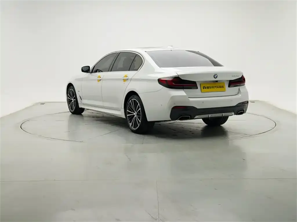 BMW 5 Series 2021 из CN, фото 5