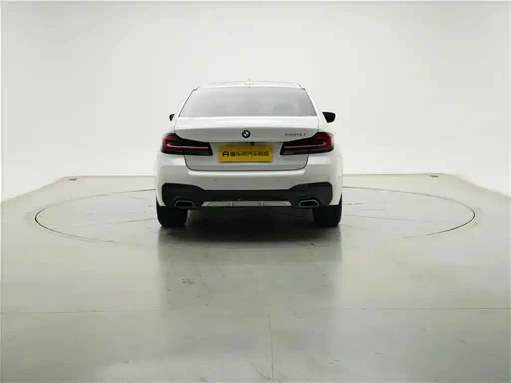 BMW 5 Series 2021 из CN, фото 2