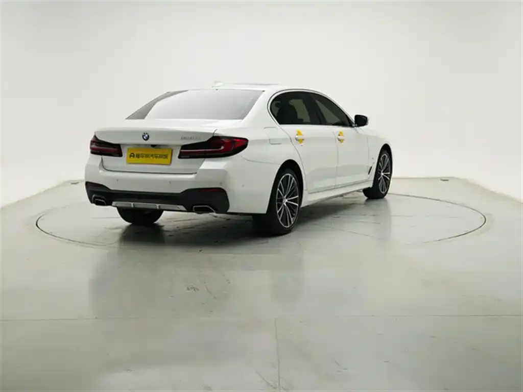 BMW 5 Series 2021 из CN, фото 4