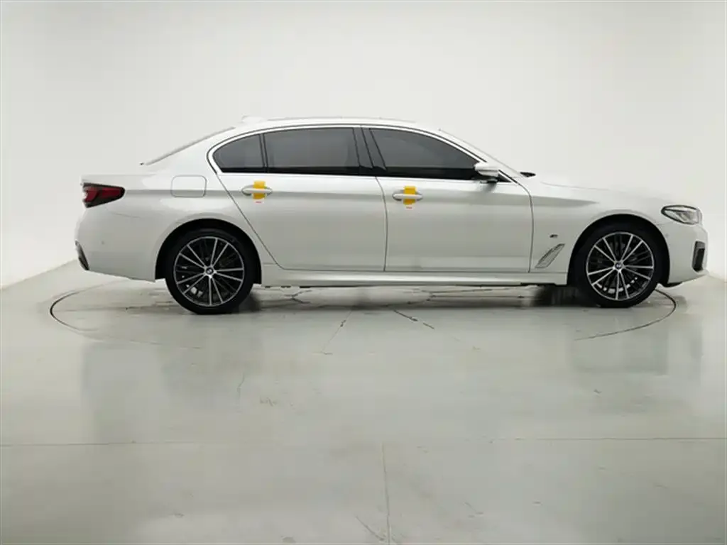 BMW 5 Series 2021 из CN, фото 7