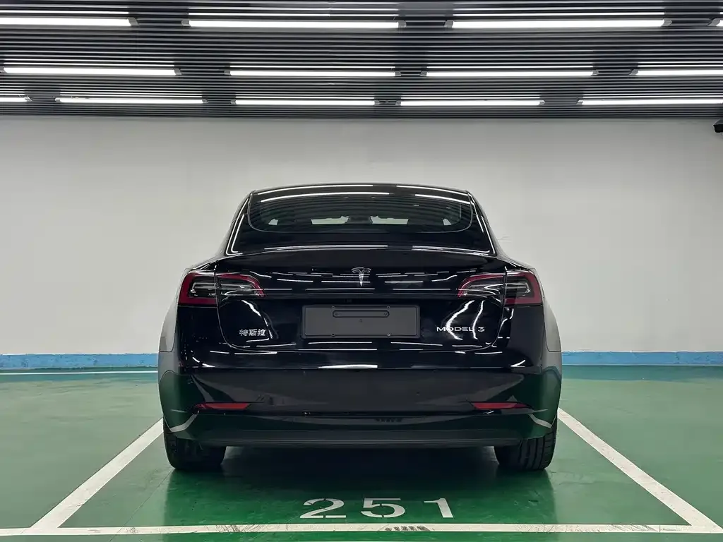 Tesla Model 3 2022 из CN, фото 3