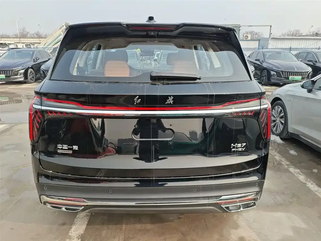 Hongqi HS7 PHEV 2025 из CN, фото 9