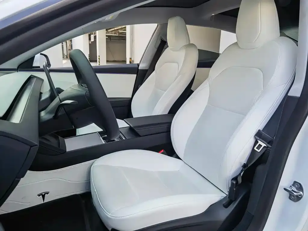 Tesla Model 3 2025 из CN, фото 2