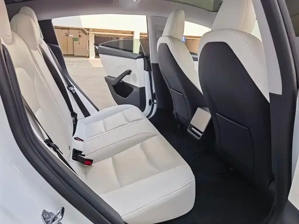 Tesla Model 3 2025 из CN, фото 3