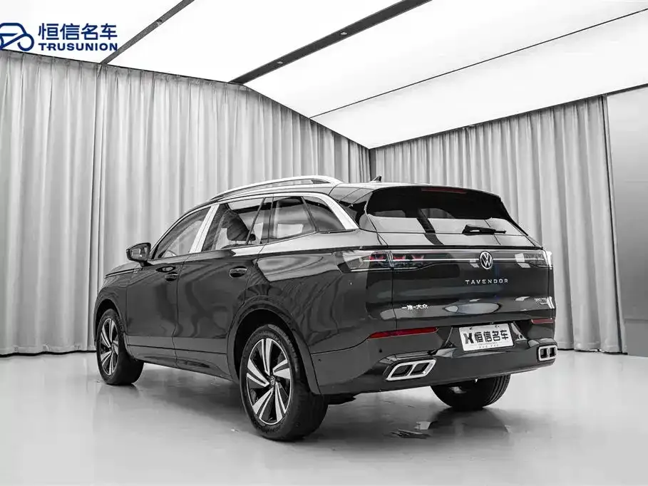 Volkswagen Tavendor 2023 из CN, фото 9
