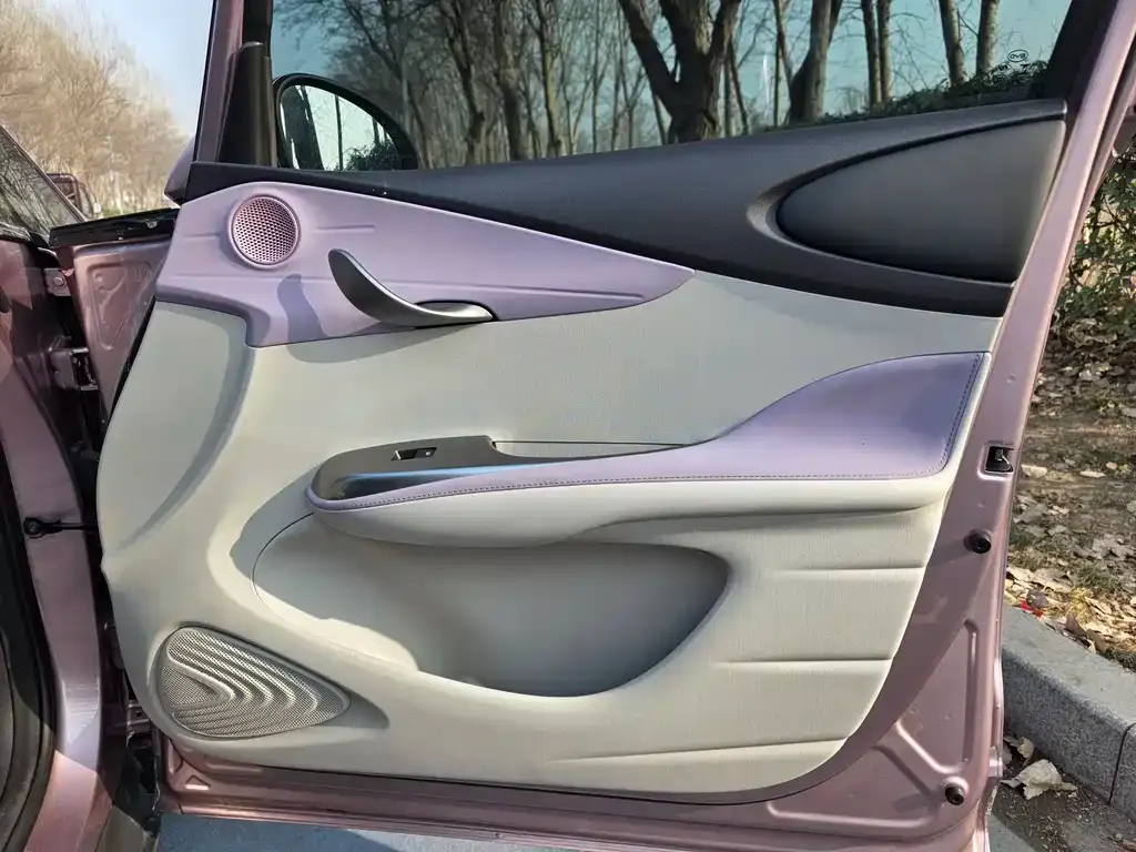 BYD Dolphin 2024 из CN, фото 6