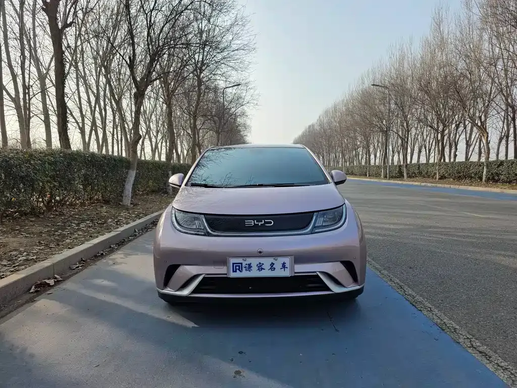 BYD Dolphin 2024 из CN, фото 7
