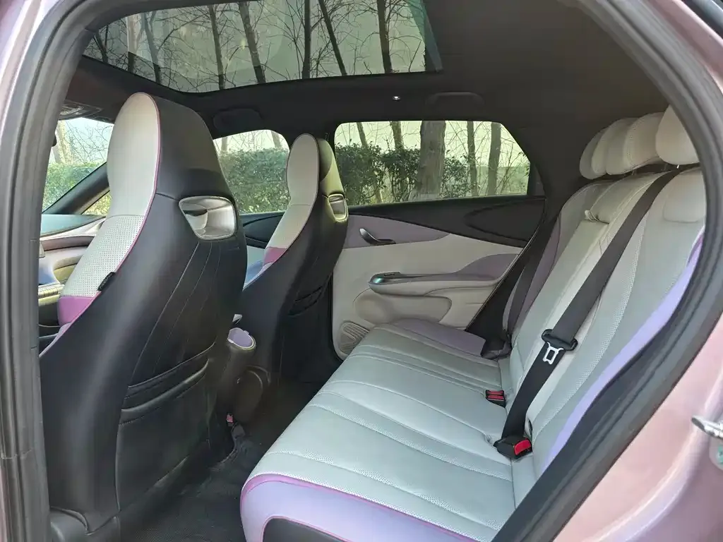 BYD Dolphin 2024 из CN, фото 5