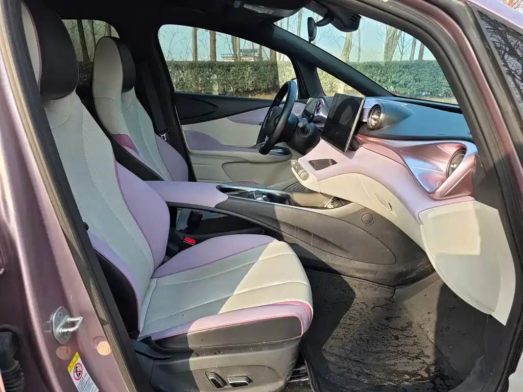 BYD Dolphin 2024 из CN, фото 4