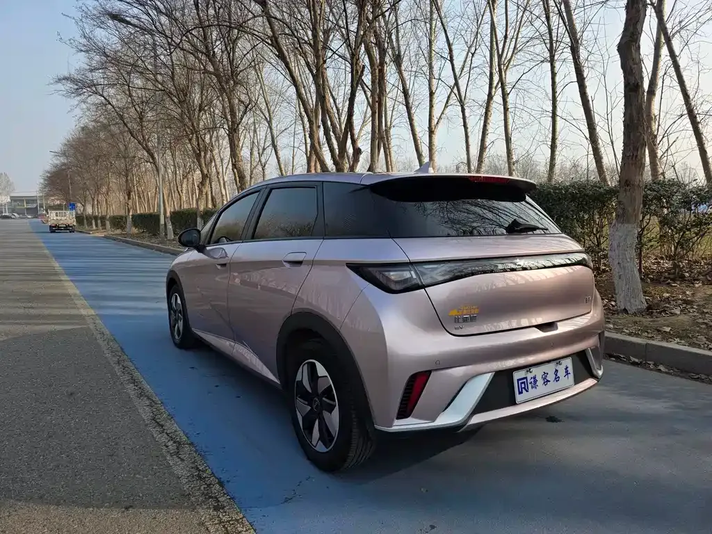 BYD Dolphin 2024 из CN, фото 10