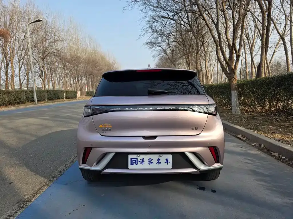 BYD Dolphin 2024 из CN, фото 9