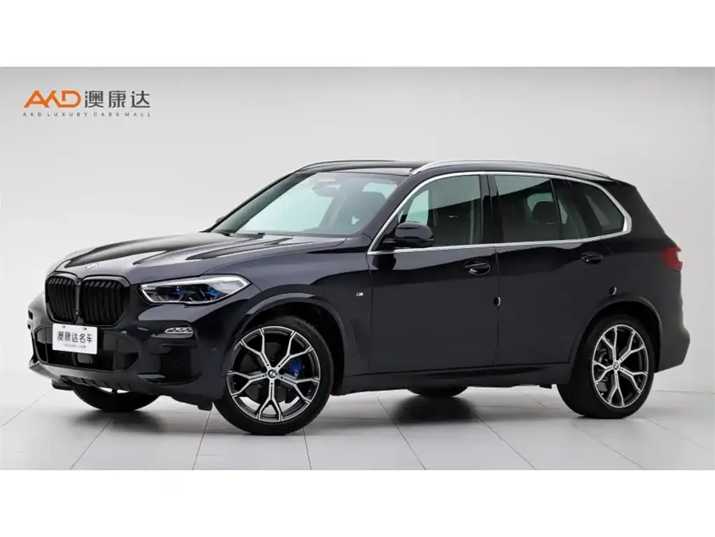 BMW X5 (Import) 2021 из CN, фото 1
