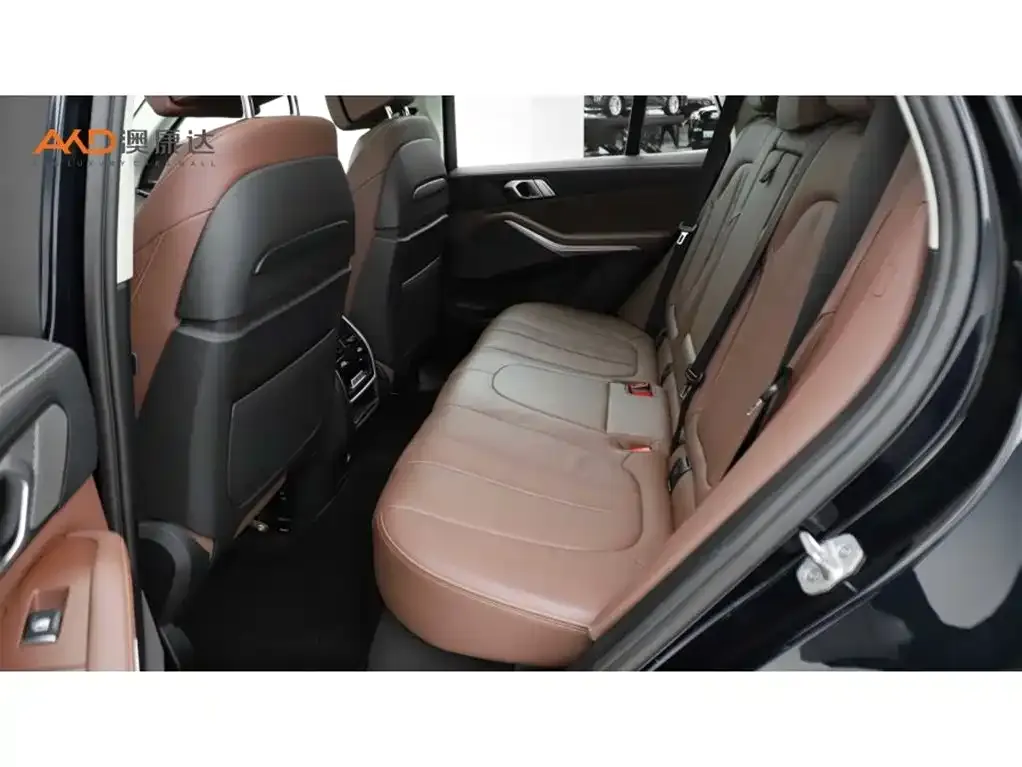 BMW X5 (Import) 2021 из CN, фото 6