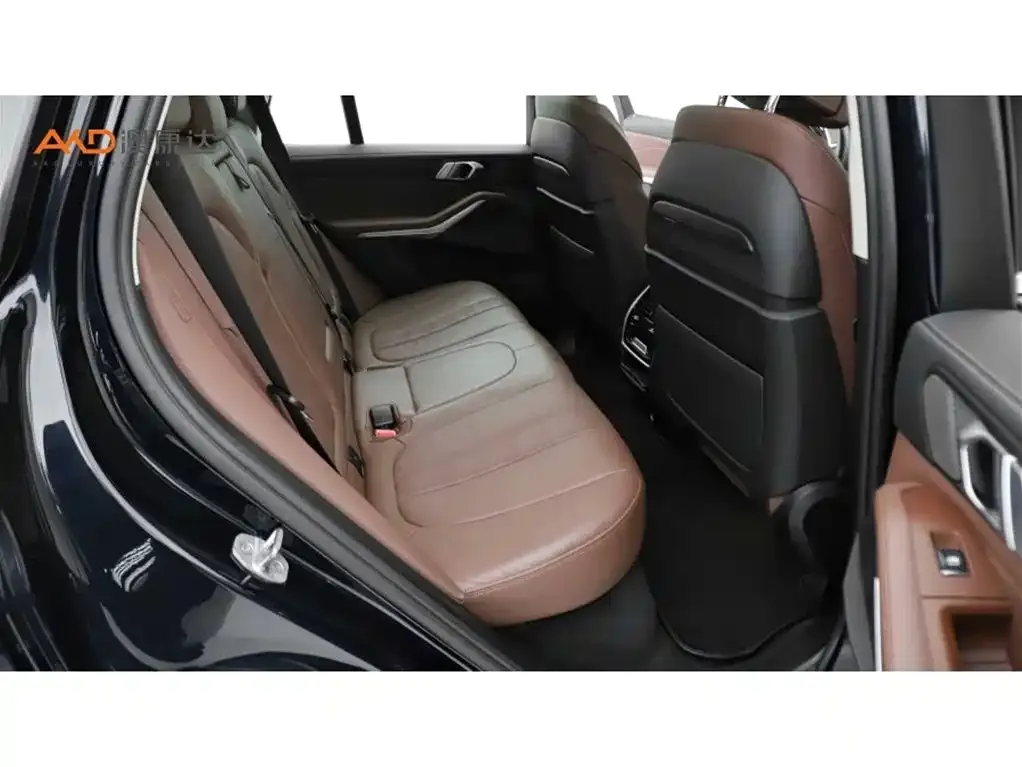 BMW X5 (Import) 2021 из CN, фото 10