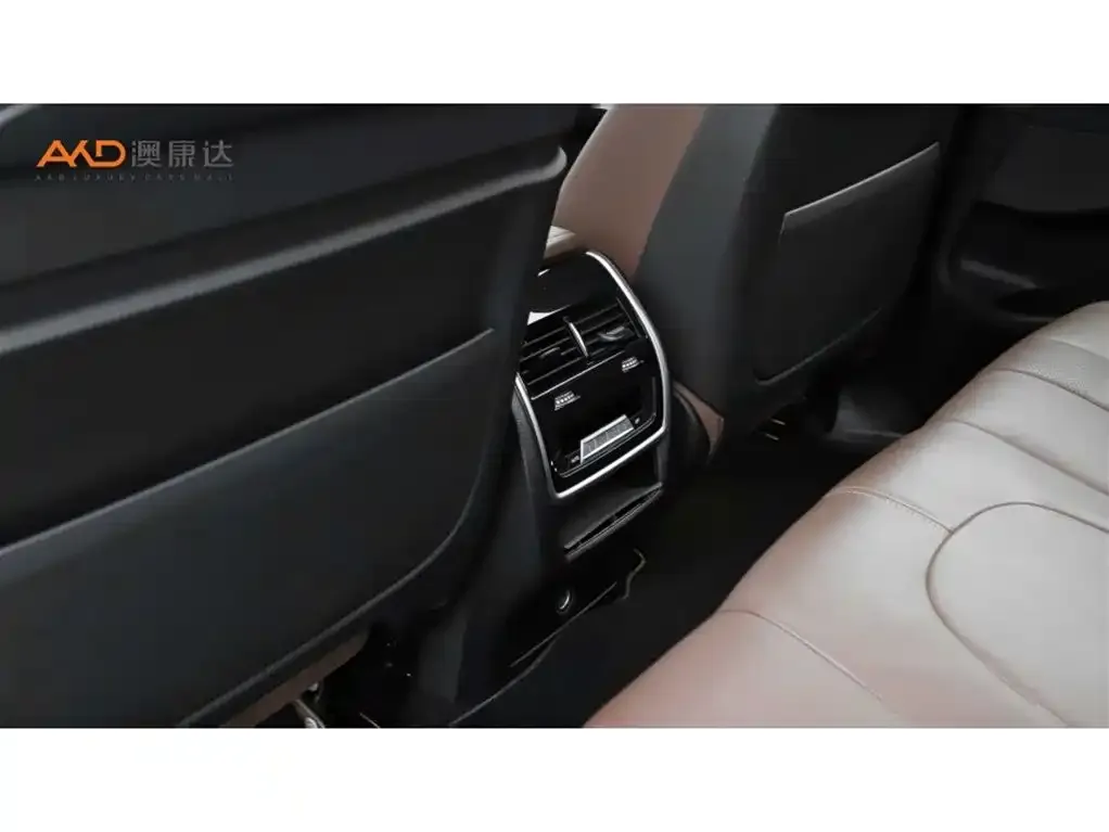 BMW X5 (Import) 2021 из CN, фото 3