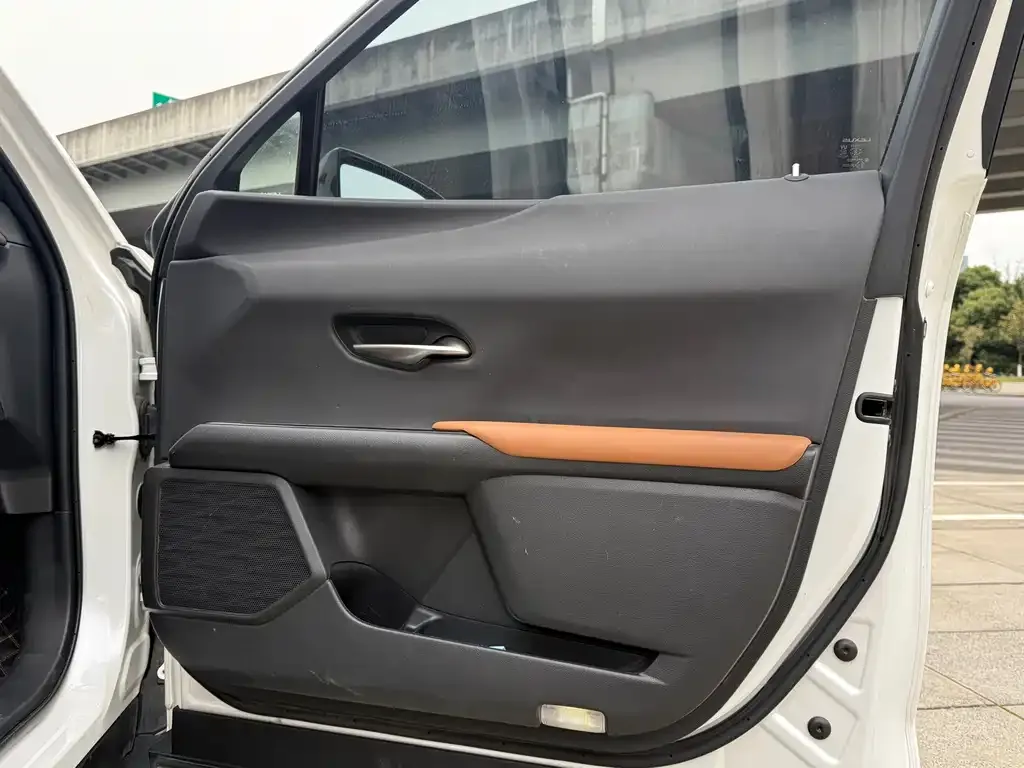 Lexus UX 2021 из CN, фото 5