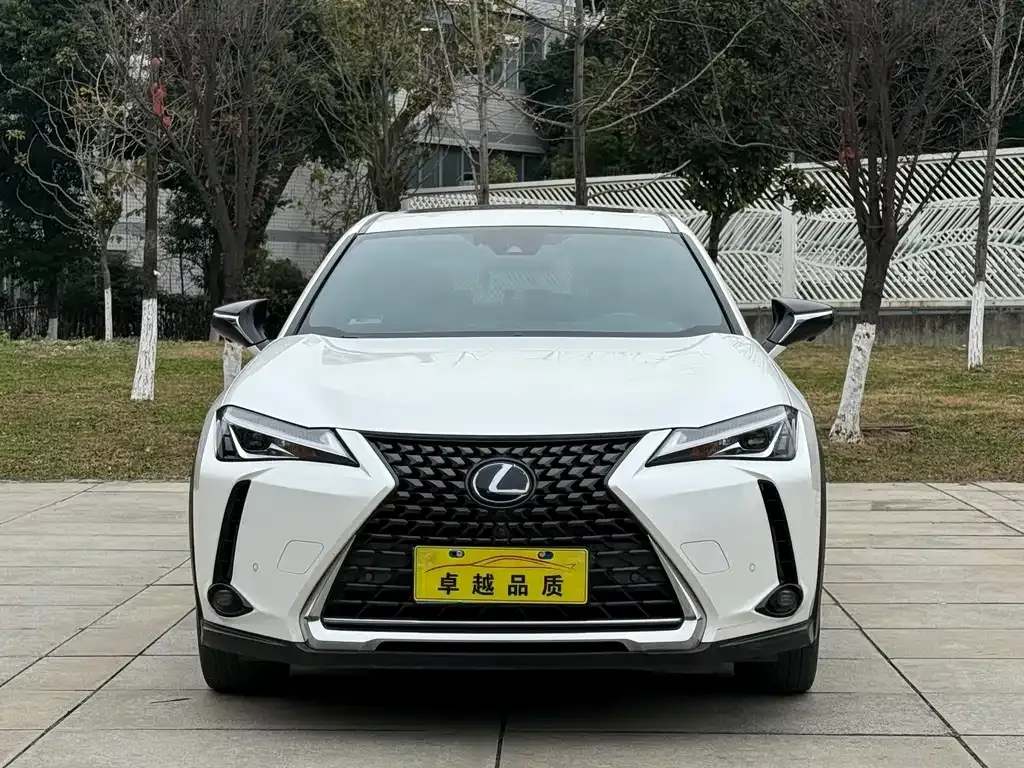 Lexus UX 2021 из CN, фото 8