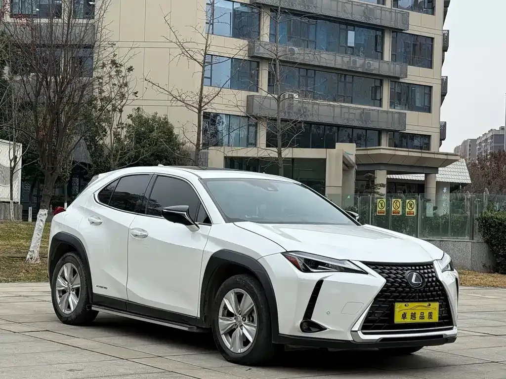 Lexus UX 2021 из CN, фото 4