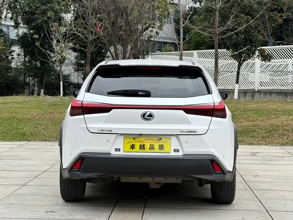 Lexus UX 2021 из CN, фото 6