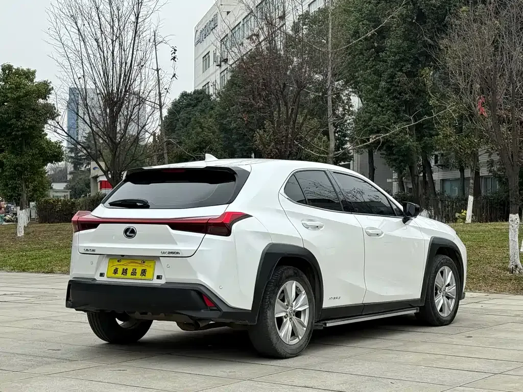 Lexus UX 2021 из CN, фото 7