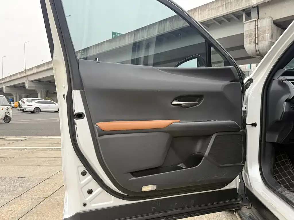 Lexus UX 2021 из CN, фото 3