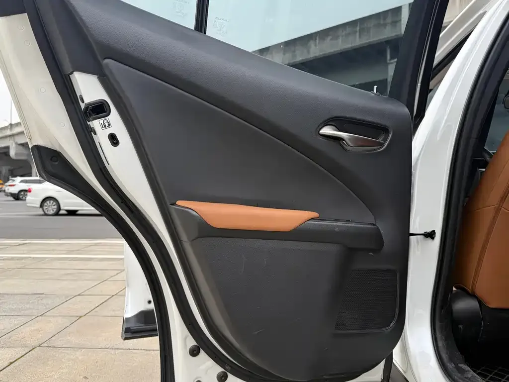 Lexus UX 2021 из CN, фото 2