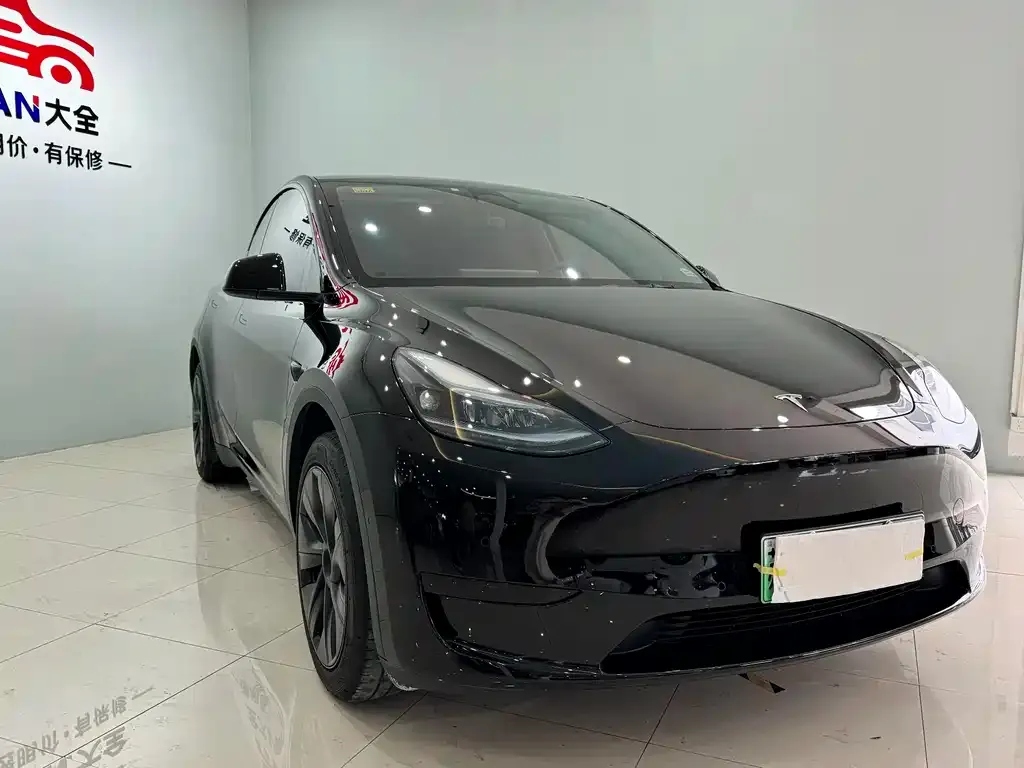 Tesla Model Y 2024 из CN, фото 6