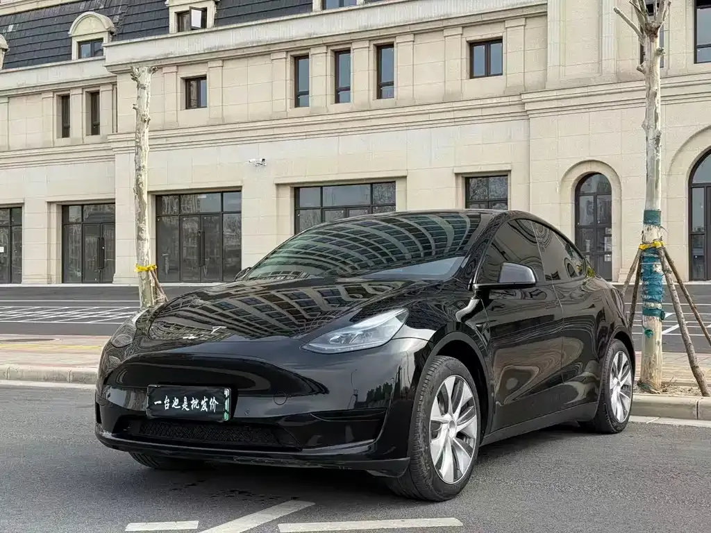 Tesla Model Y 2023 из CN, фото 1