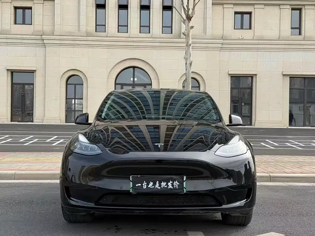 Tesla Model Y 2023 из CN, фото 7