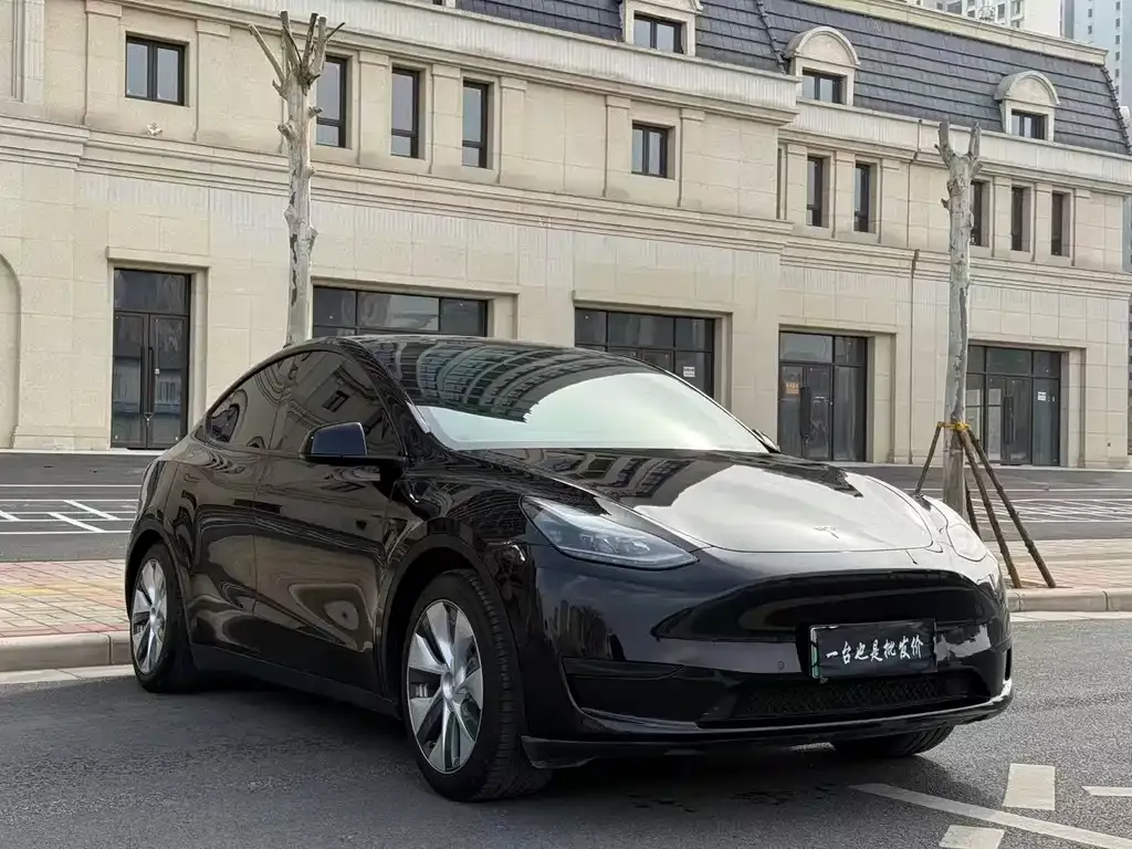 Tesla Model Y 2023 из CN, фото 6