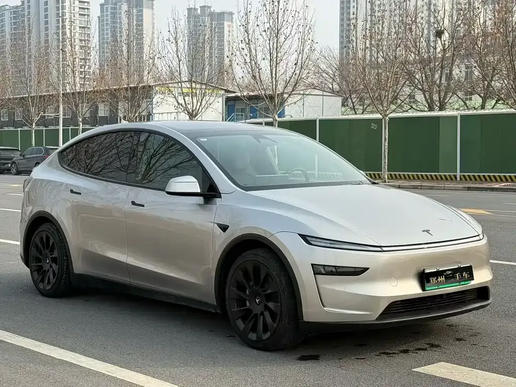 Tesla Model Y L 2025 из CN, фото 9
