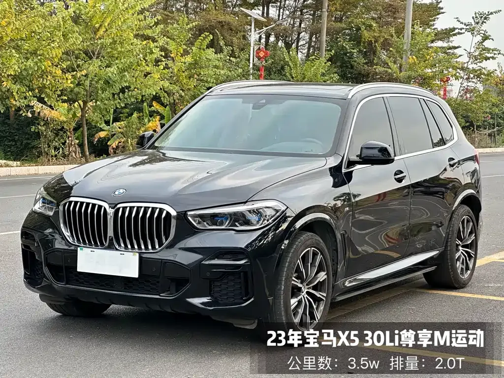 BMW X5 2023 из CN, фото 1