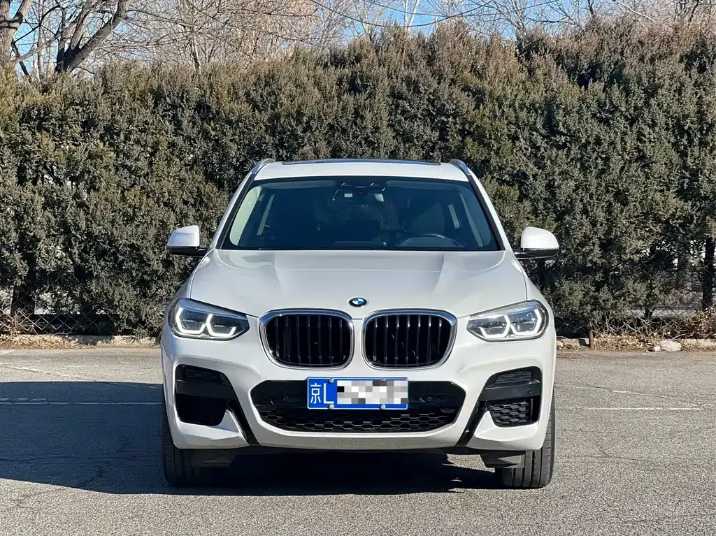 BMW X3 2021 из CN, фото 10
