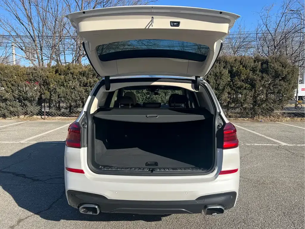 BMW X3 2021 из CN, фото 4
