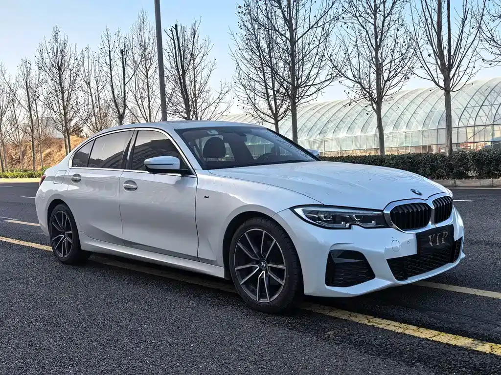 BMW 3 Series 2021 из CN, фото 6
