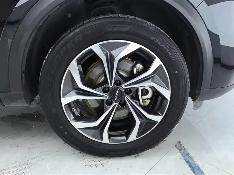 Haval Xiaolong MAX 2024 из CN, фото 9