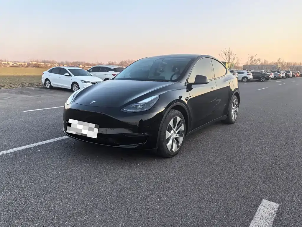 Tesla Model Y 2021 из CN, фото 1