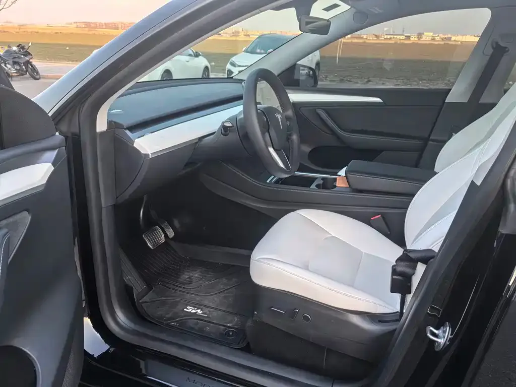 Tesla Model Y 2021 из CN, фото 2