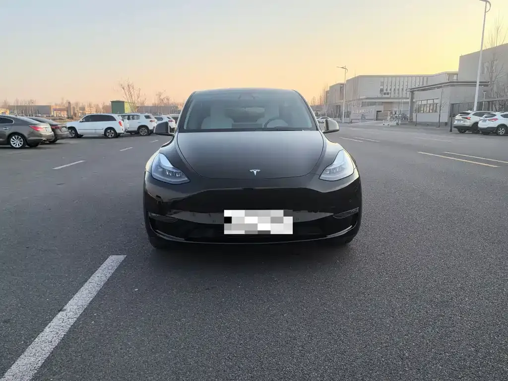 Tesla Model Y 2021 из CN, фото 8