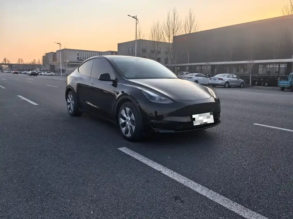 Tesla Model Y 2021 из CN, фото 10