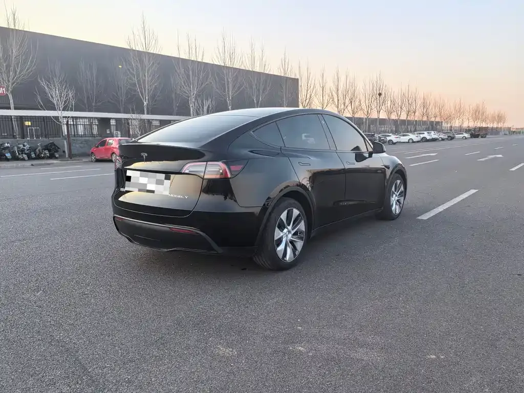 Tesla Model Y 2021 из CN, фото 5