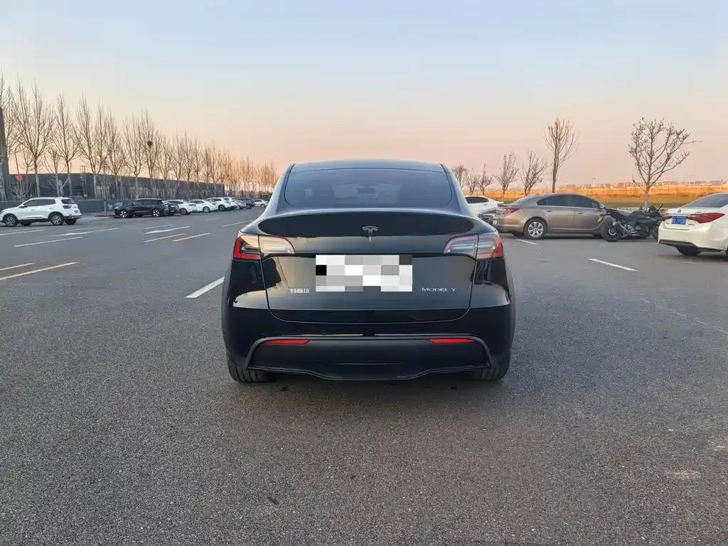 Tesla Model Y 2021 из CN, фото 6