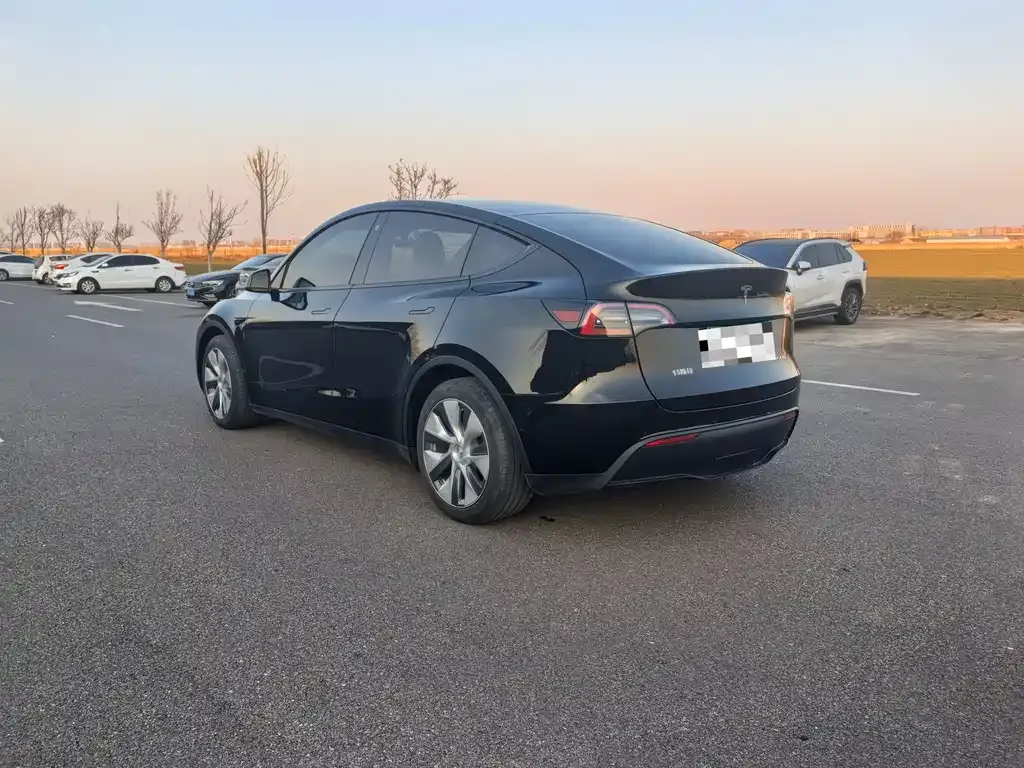 Tesla Model Y 2021 из CN, фото 4