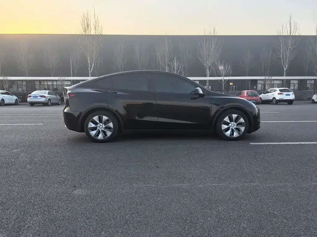 Tesla Model Y 2021 из CN, фото 7