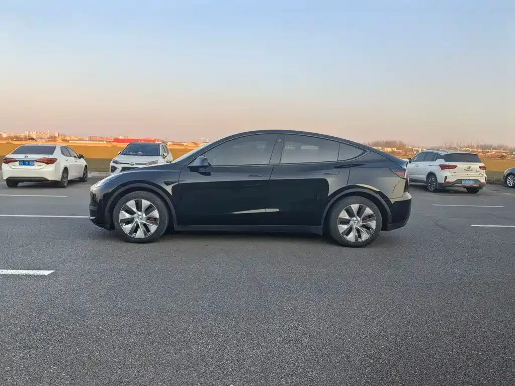 Tesla Model Y 2021 из CN, фото 3
