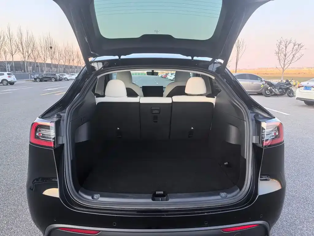 Tesla Model Y 2021 из CN, фото 9