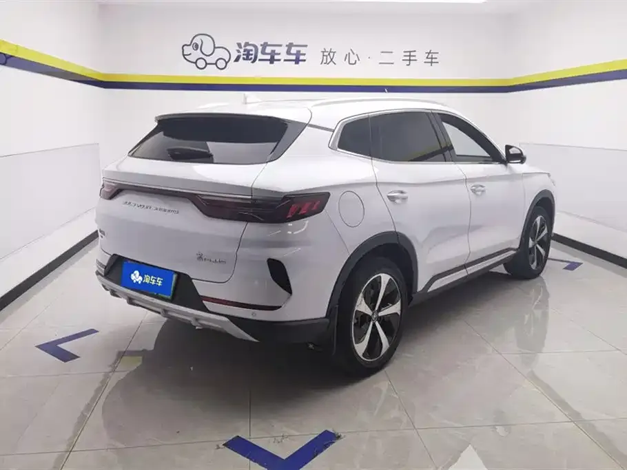 BYD PLUS New Energy 2022 из CN, фото 10